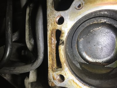 21FCA27B-76CB-4AD3-B907-14FFA25DB6B1.jpeg