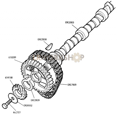 113_engine-camshaft-109in-v8.png